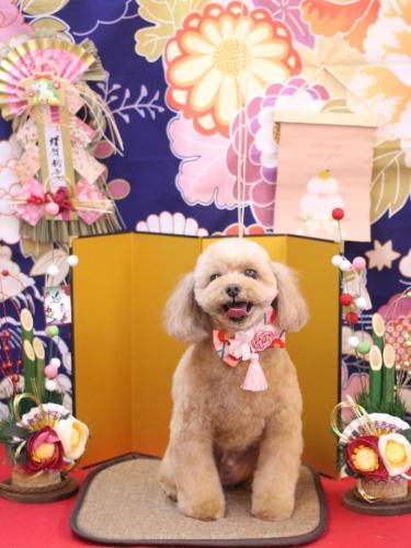 20240105バーディーくん